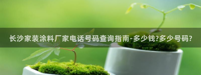 深圳和记科技有限公司：长沙家装涂料厂家电话号码查询指南-多少钱?多少号码?
