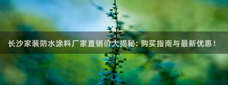 和记官方直营注册：长沙家装防水涂料厂家直销价大揭秘: 购买指南与最新优惠！