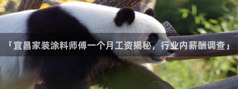 和记平台怎么样：「宜昌家装涂料师傅一个月工资揭秘，行业内薪酬调查」