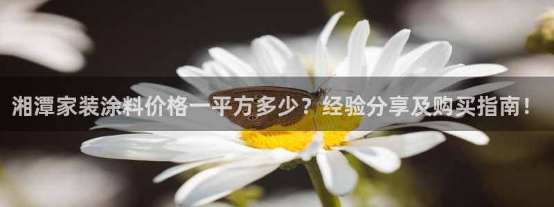 和记app官网登录：湘潭家装涂料价格一平方多少？经验分享及购买指南！