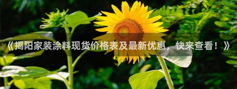 和记h188：《揭阳家装涂料现货价格表及最新优惠，快来查看！》