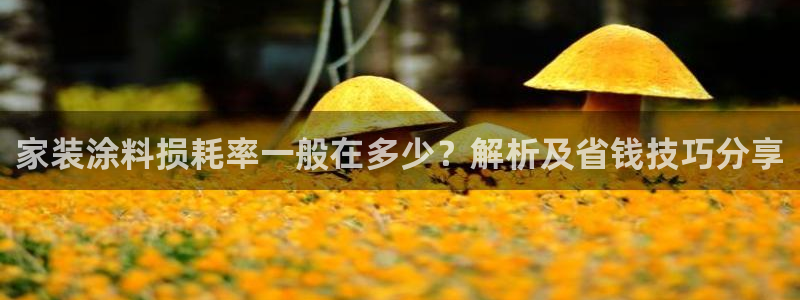 和记(福建)商贸有限公司招聘：家装涂料损耗率一般在多少？解析及省钱技巧分享