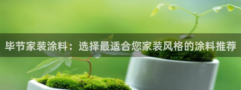 和记官方直营注册导航：毕节家装涂料：选择最适合您家装风格的涂料推荐
