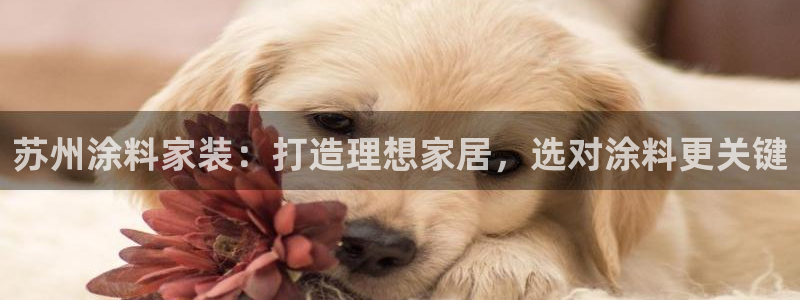 和记官方网站：苏州涂料家装：打造理想家居，选对涂料更关键