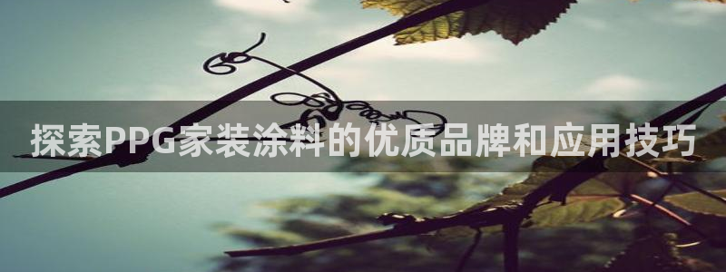 和记AG旗舰
