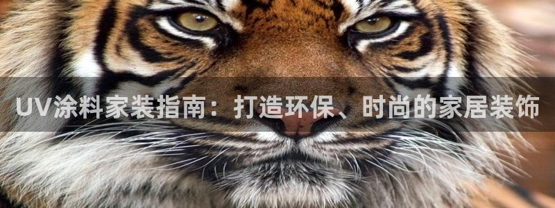 和记广告女主角：UV涂料家装指南：打造环保、时尚的家居装饰