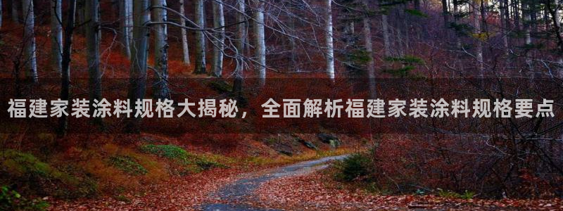 和记平台怎么样：福建家装涂料规格大揭秘，全面解析福建家装涂料规格要点