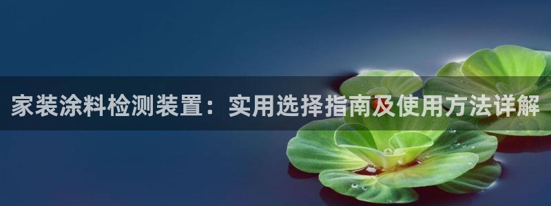 和记平台官方网：家装涂料检测装置：实用选择指南及使用方法详解