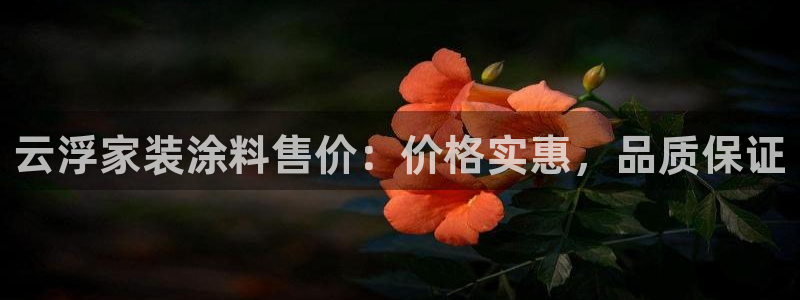 和记平台下载：云浮家装涂料售价：价格实惠，品质保证