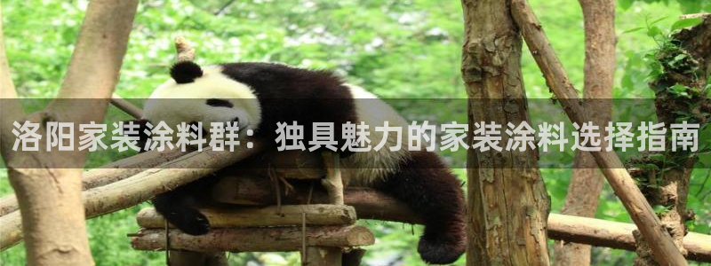 ag和记app：洛阳家装涂料群：独具魅力的家装涂料选择指南