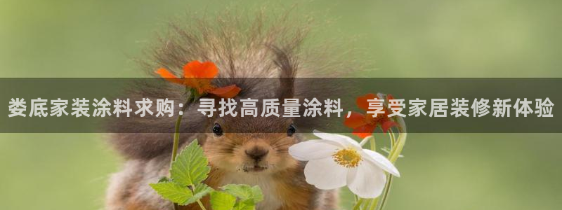 和记 首页