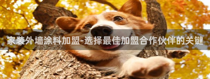 和记官网登陆：家装外墙涂料加盟-选择最佳加盟合作伙伴的关键