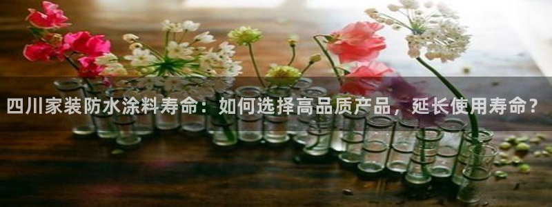 和记h8：四川家装防水涂料寿命：如何选择高品质产品，延长使用寿命？