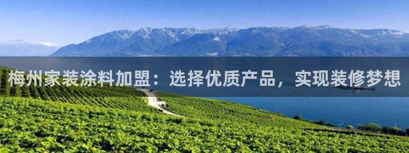 青岛大生和记餐饮管理有限公司：梅州家装涂料加盟：选择优质产品，实现装修梦想