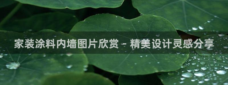 和记最新官方网址：家装涂料内墙图片欣赏 - 精美设计灵感分享