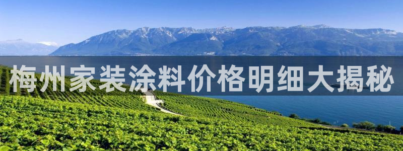 和记平台登陆：梅州家装涂料价格明细大揭秘