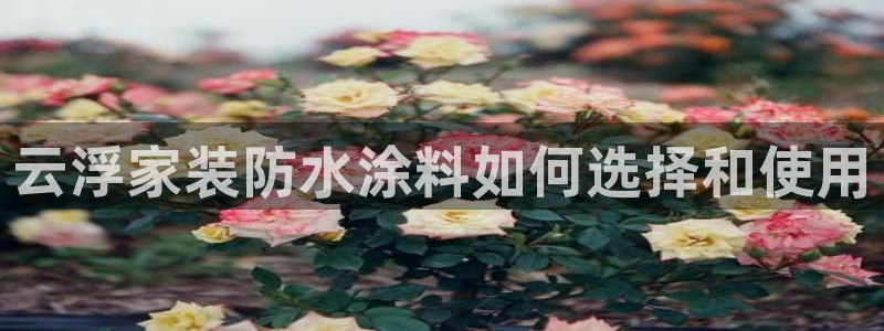 和记(福建)商贸有限公司：云浮家装防水涂料如何选择和使用