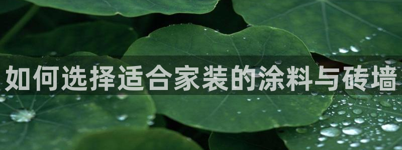 和记ag旗舰国际：如何选择适合家装的涂料与砖墙