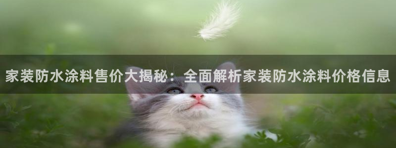 和记平台官方网：家装防水涂料售价大揭秘：全面解析家装防水涂料价格信息