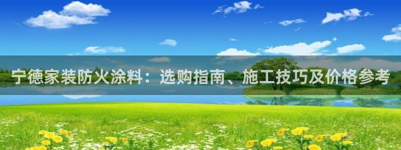 和记官网：宁德家装防火涂料：选购指南、施工技巧及价格参考