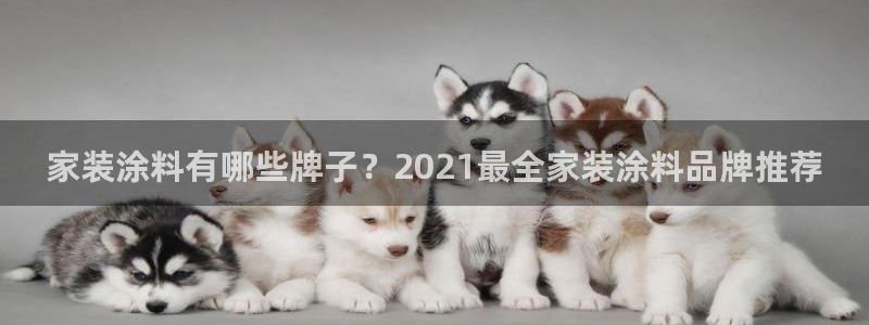 和记AG网站