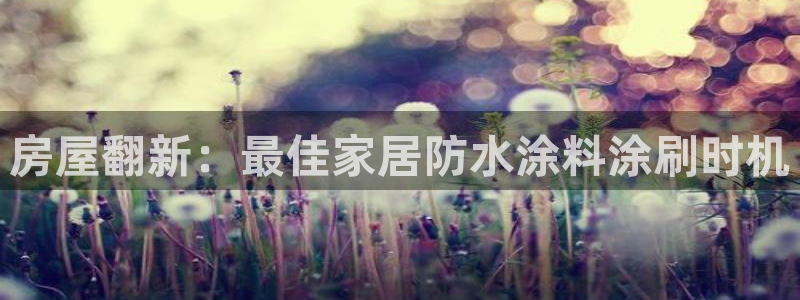 和记H88