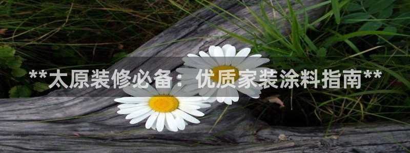 和记国际