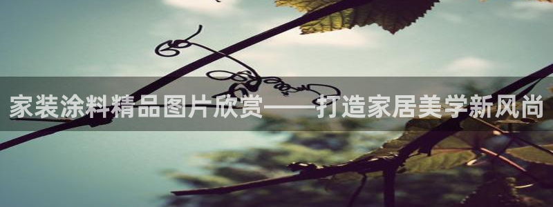 和记AG网站
