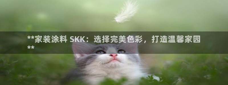 和记电业集团