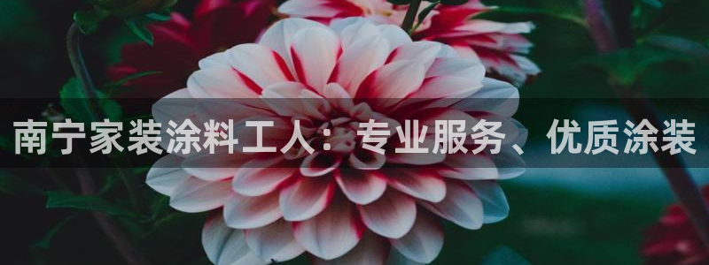 和记国际