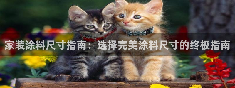 和记网页版