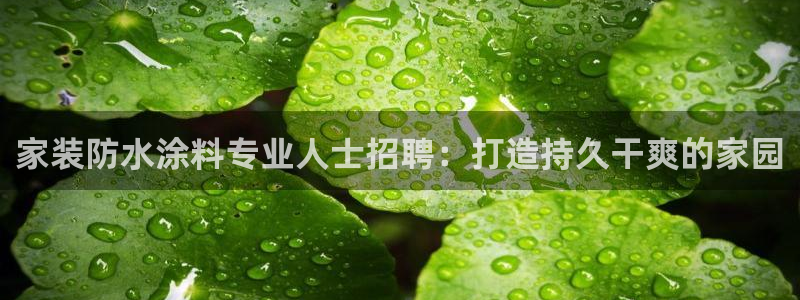 和记AG：家装防水涂料专业人士招聘：打造持久干爽的家园