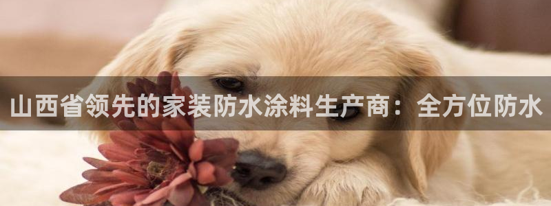 和记hj：山西省领先的家装防水涂料生产商：全方位防水