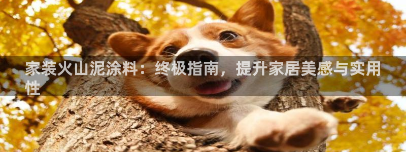 江苏和记数码科技有限公司：家装火山泥涂料：终极指南，提升家居美感与实用
性