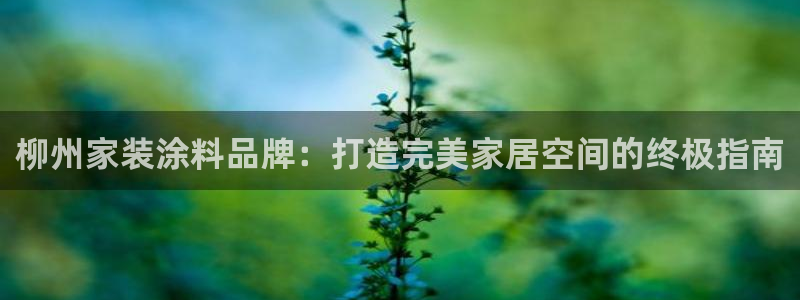 和记ag旗舰国际：柳州家装涂料品牌：打造完美家居空间的终极指南