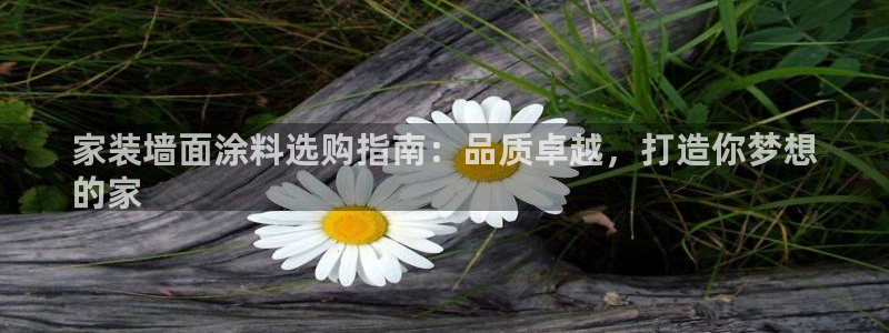 和记ag登录：家装墙面涂料选购指南：品质卓越，打造你梦想
的家