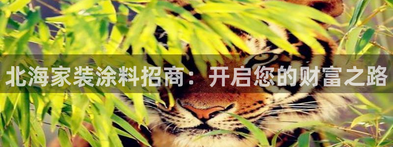 和记国际开户网站：北海家装涂料招商：开启您的财富之路