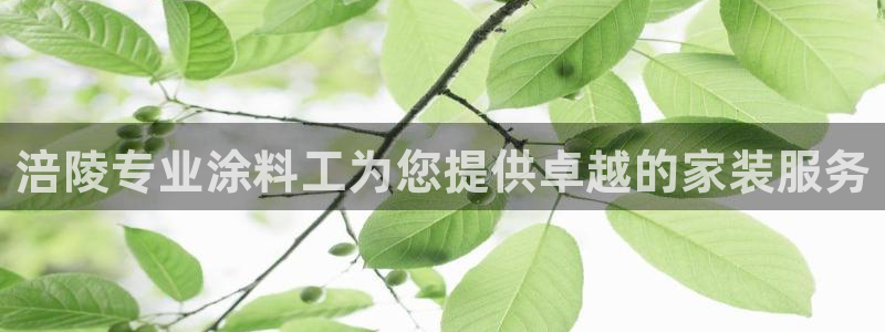 和记官方直营注册：涪陵专业涂料工为您提供卓越的家装服务