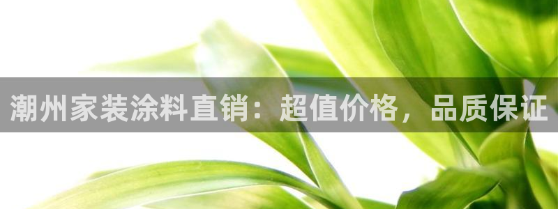 和记平台登录：潮州家装涂料直销：超值价格，品质保证