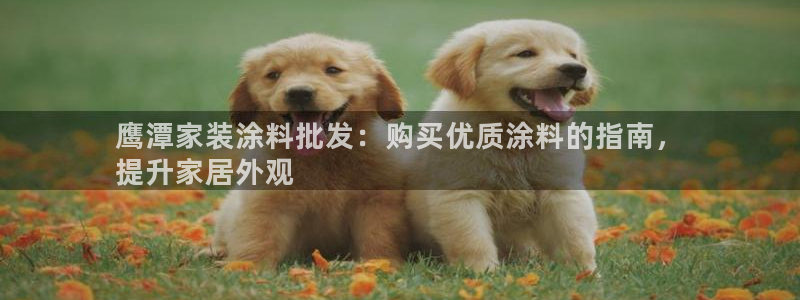 和记AG：鹰潭家装涂料批发：购买优质涂料的指南，
提升家居外观