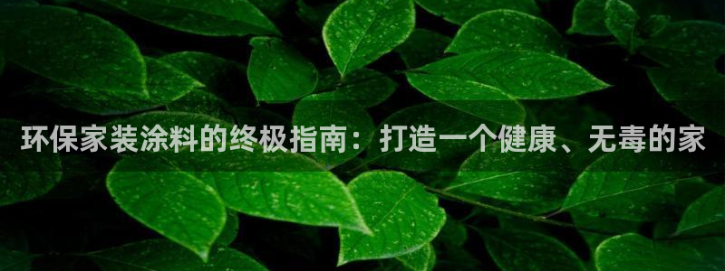 和记官网[中国]官方网站：环保家装涂料的终极指南：打造一个健康、无毒的家