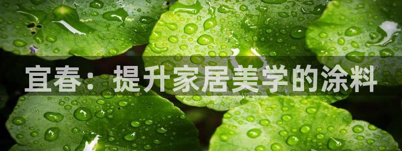 江苏和记餐饮有限公司