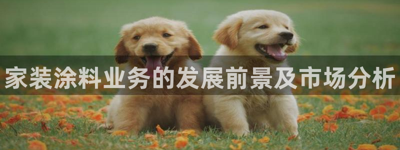 深圳和记科技有限公司：家装涂料业务的发展前景及市场分析