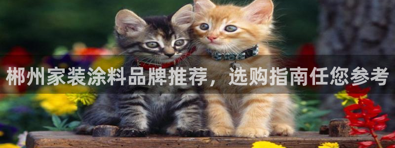 和记最新官方网址