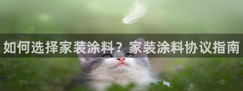 和记AG旗舰：如何选择家装涂料？家装涂料协议指南