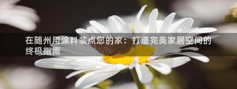 和记2017app：在随州用涂料装点您的家：打造完美家居空间的
终极指南