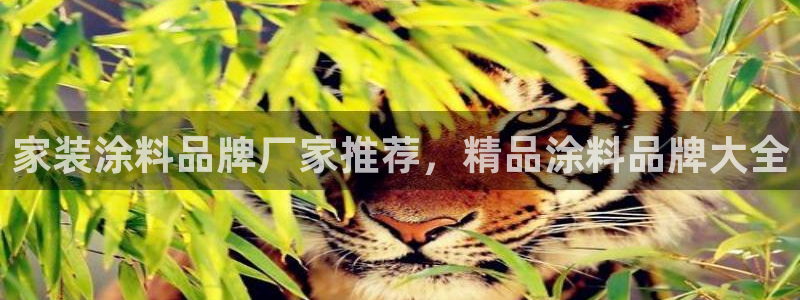 和记ag旗舰国际：家装涂料品牌厂家推荐，精品涂料品牌大全