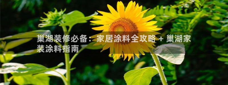 和记登陆：巢湖装修必备：家居涂料全攻略 + 巢湖家
装涂料指南