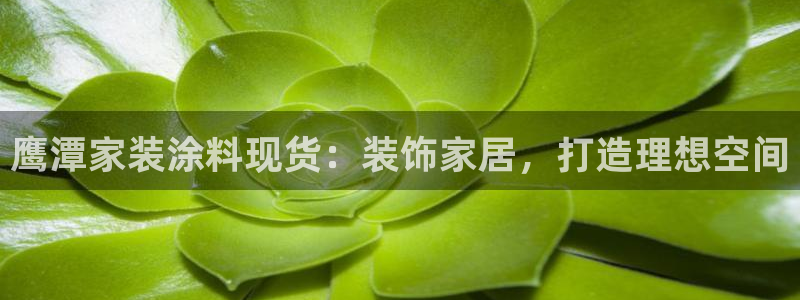 和记h88游戏：鹰潭家装涂料现货：装饰家居，打造理想空间