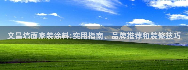 和记AG旗舰：文昌墙面家装涂料:实用指南、品牌推荐和装修技巧
